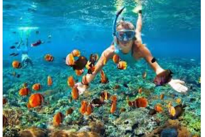 Party Catamaran and Snorkeling Tour in Montego Bay - Private transport does not mean a private catamaran