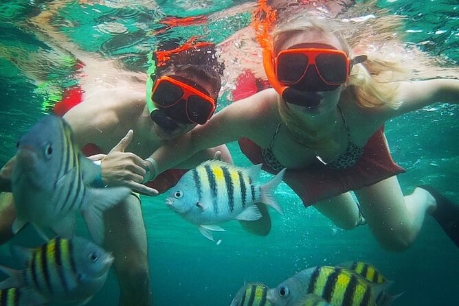 Party Catamaran Cruise with Open Bar and Snorkeling Montego Bay - Open bar, snacks, and the value of $180