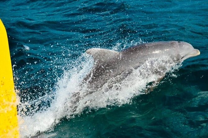 PARTY Catamaran Cruise with Snorkeling Rick's Cafe ADULTS ONLY - Margaritaville adds a short shore break
