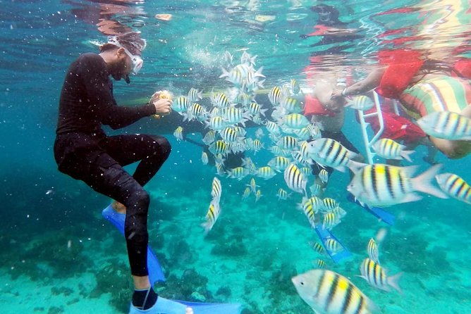 Party Catamaran: OpenBar, Music, Negril Beach, Caves, Snorkeling - Reaching Rick’s Cafe by catamaran