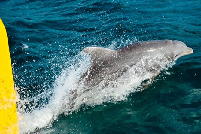 Party Catamaran: OpenBar, Music, Negril Beach, Caves, Snorkeling - Adults-only or family-friendly sailing