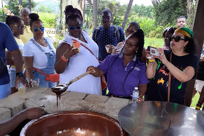 Pelican Bar, Appleton Rum Tour, YS Falls Jamaica south coast experience Montego - Who should book this south coast outing?