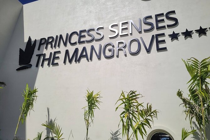 Princess Senses The Mangrove Airport Transfers - Comfort, safety, and the ride itself