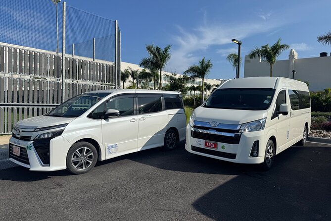 Private Airport Transfer Montego Bay Airport to Negril (One-Way) - Who Will Get the Most From This Transfer