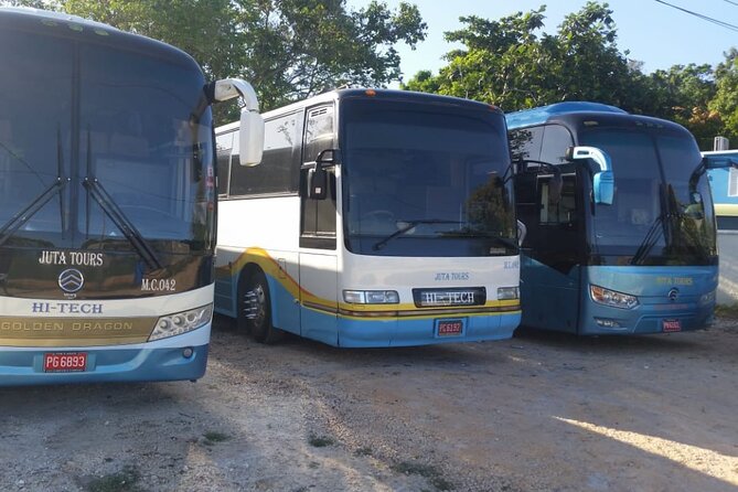 Private Airport Transfers To Negril Hotels and Villas - Air conditioning, WiFi, and drinks on the way