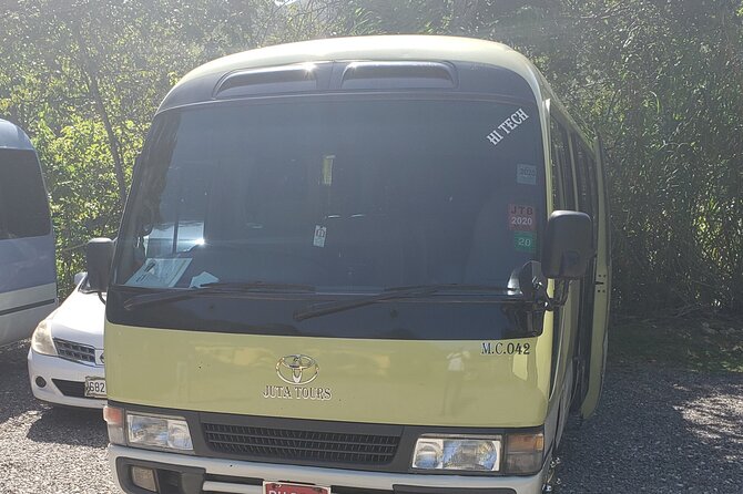 Private Airport Transfers To Negril Hotels and Villas - Family details that matter