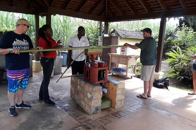 Private Appleton Estate Rum and Pelican Bar Tour from Montego Bay - Reaching Appleton Estate from Montego Bay