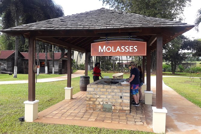 Private Appleton Estate Rum and Pelican Bar Tour from Montego Bay - Appleton Estate: from sugar cane to aged rum