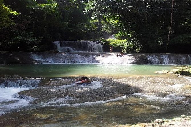 Private Appleton Estate Rum & YS Falls Tour from Montego Bay - Who will enjoy this tour most?