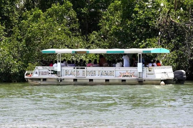Private Appleton YS Falls and Black River Tour from Montego Bay - Starting at Appleton Estate with rum and sugarcane