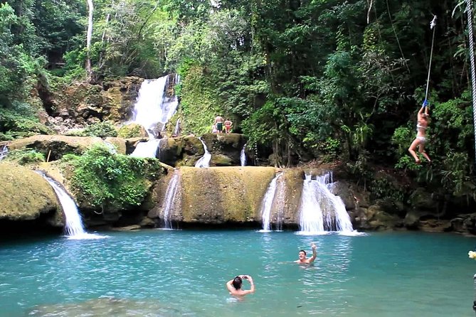 Private Appleton YS Falls and Black River Tour from Montego Bay - Cruising the Black River for crocodiles