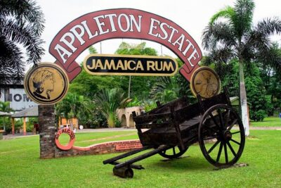 Private Appleton YS Falls and Black River Tour from Montego Bay