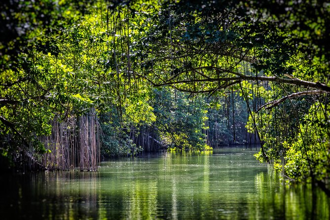 Private Appleton YS Falls and Black River Tour from Montego Bay - What to pack for this particular tour