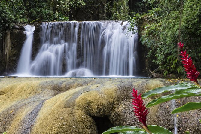 Private Appleton YS Falls and Black River Tour from Montego Bay - Who should book this day