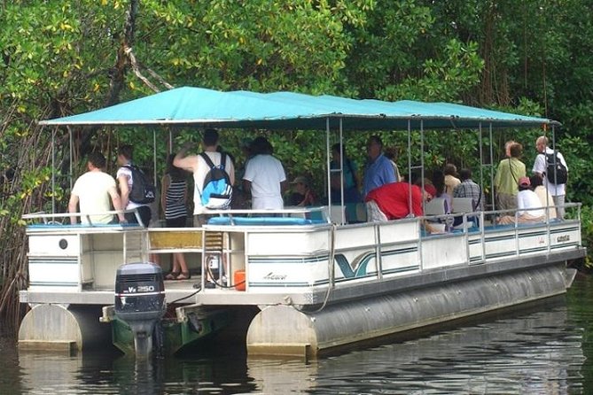 Private Black River Safari Tour from Montego Bay - Key points to know before booking