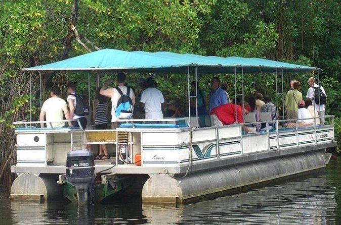 Private Black River Safari Tour from Montego Bay - Who will enjoy this Black River safari?