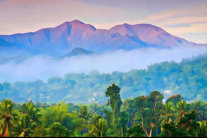 Private Blue Mountain tour from Ocho Rios - Leaving Ocho Rios for the Blue Mountains