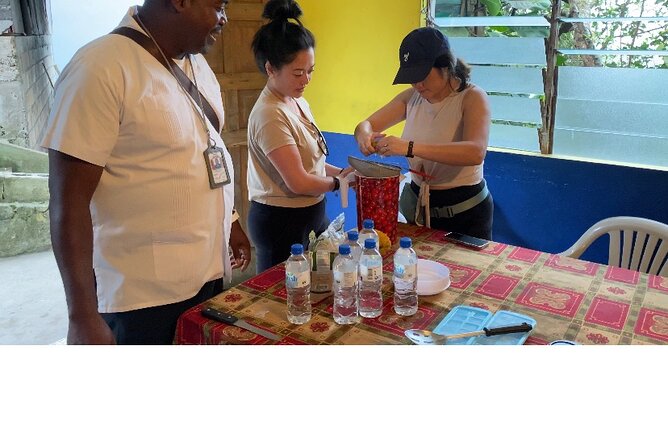 Private Blue Mountain tour from Ocho Rios - The pace, walking, and comfort level