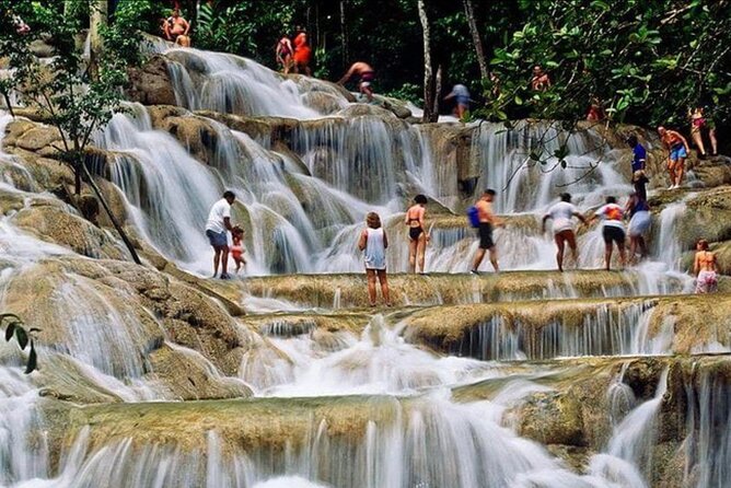 Private Bob Marley 9 mile & DunnsRiverFalls Tour from Montego Bay - Transport, group size, and the value of privacy