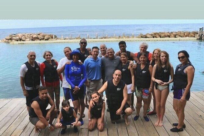 Private Dolphin Cove Adventure - The dolphin interaction, with trainers in charge
