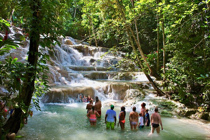 Private Dunn's River Falls Adventure from Montego Bay - Key points to know before booking