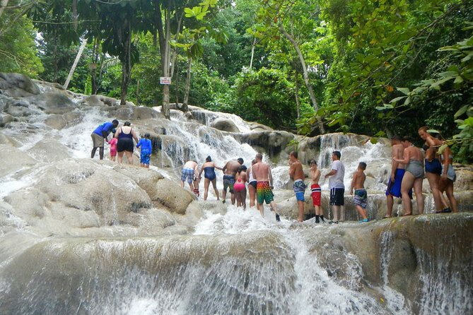 Private Dunn's River Falls Adventure from Montego Bay - A private ride with room for your own pace