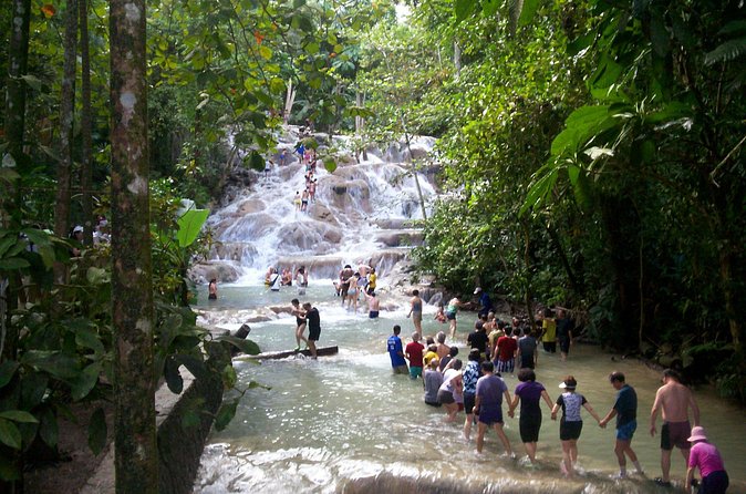 Private Dunn's River Falls Adventure from Montego Bay - Is $155 a fair price?
