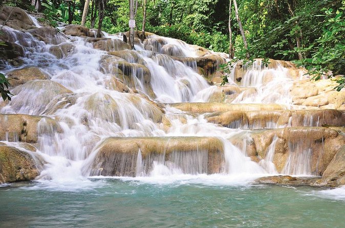 Private Dunn's River Falls Jamaica - Adding a rainforest zipline