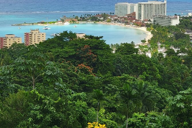 Private Dunn's River Falls, Ocho Rios Sightseeing and shopping - Shopping can be useful, but set your limits
