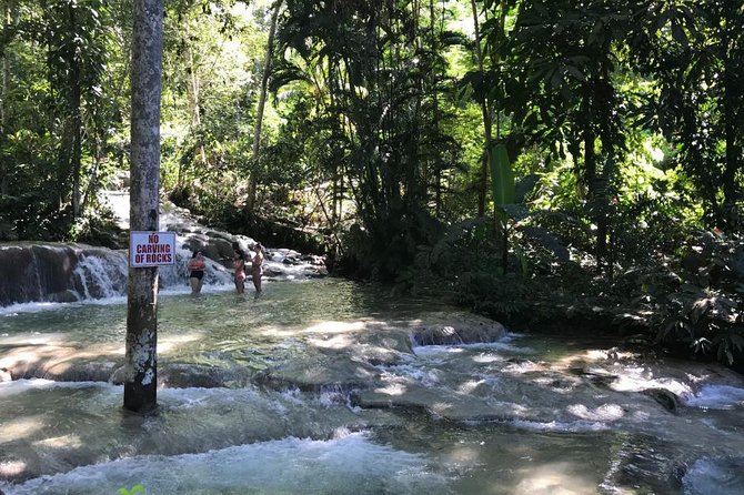 [PRIVATE] Dunn's River Falls with Entrance Fees - Who should book this Dunn’s River outing