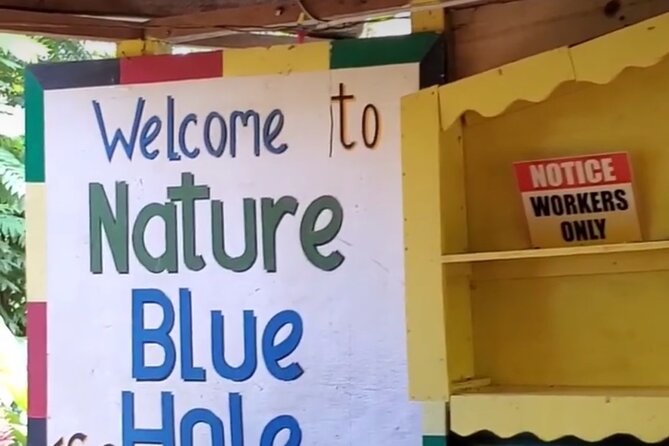 Private Dunns River Falls and Blue Hole from Montego Bay Tour - Blue Hole’s rope swings and waterfall pools
