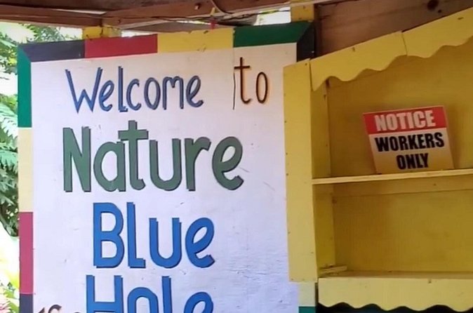 Private Dunns River Falls and Blue Hole from Montego Bay Tour - Timing, booking, and cancellation details