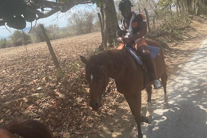 Private Dunns River Falls and Horse Back Riding - What this four-hour Jamaica outing is really like