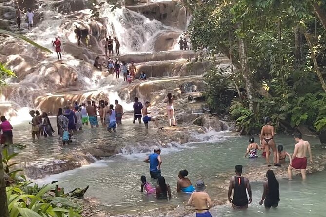 Private Dunns River Falls and Horse Back Riding - The value of $110 per person