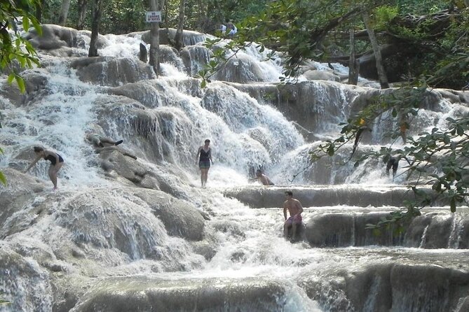 Private Dunns River Falls and Horse Back Riding - What to confirm before you go
