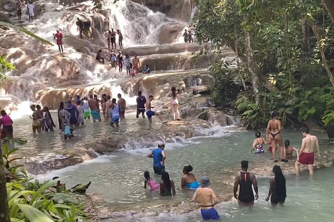 Private Dunns River Falls and Horse Back Riding - Who will enjoy this tour most