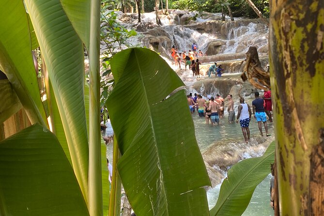 Private Dunns River Falls and Horse Back Riding - Final call: book it for variety and convenience