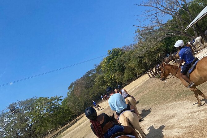 Private Dunns River Falls and Horse Back Riding - Dunn’s River Falls, from river to sea