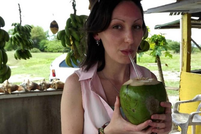 PRIVATE Food Tour of Local Jamaican Cuisine Montego Bay & Negril - Starting with hotel pickup and a local view
