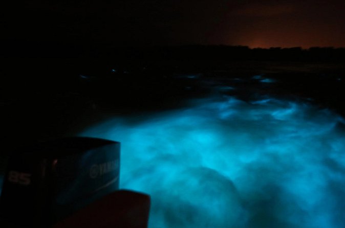Private Guided Night Tour of Luminous Lagoon in Montego Bay - Who Will Enjoy This Night Most