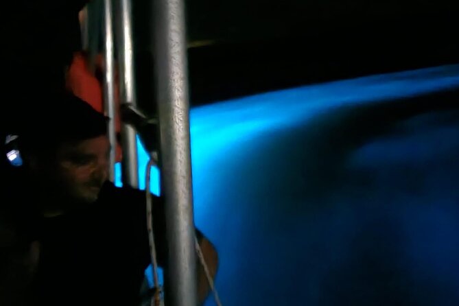 Private Guided Night Tour of Luminous Lagoon in Montego Bay - Should You Book the Luminous Lagoon Tour?