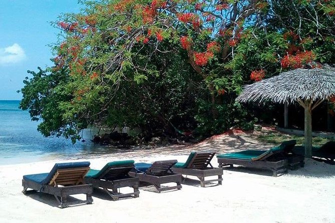 Private Half Moon Beach Tour from Montego Bay - Calico Jack’s Private Island: the optional change of plan