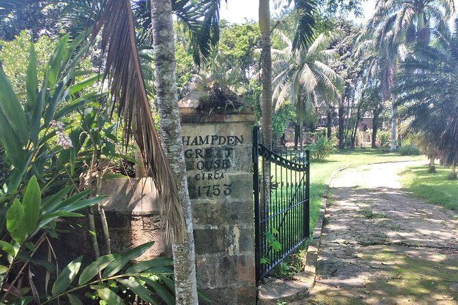Private Hampden Estate Rum Tour from Montego Bay or Falmouth - The $149.99 price and who gets the best value
