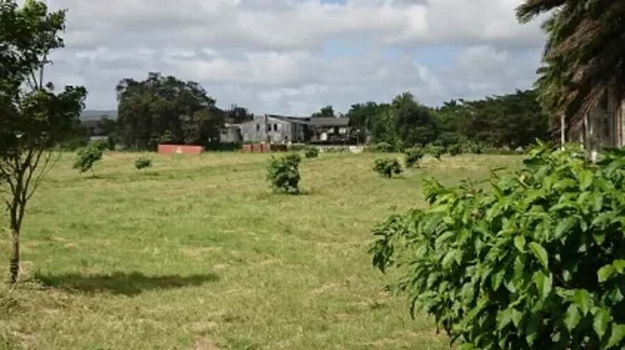 Private Hampden Estate Rum Trip from Montego Bay - Entering a distillery with old methods