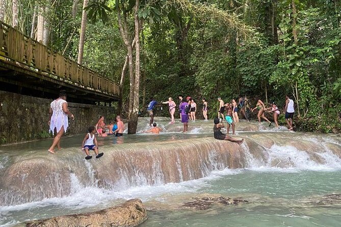 Private Horseback Riding, Swimming and Dunn's River Falls Tour - Setting out from Montego Bay with private transport