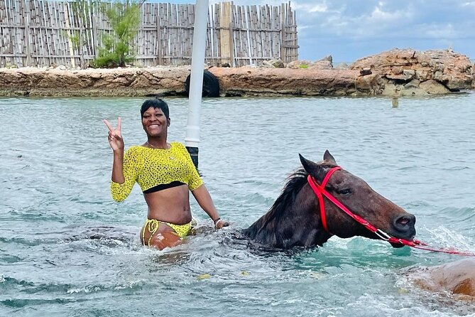 Private Horseback Riding, Swimming and Dunn's River Falls Tour - Is $240 per person a fair price?