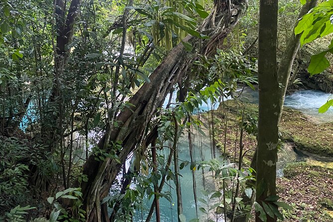 Private Horseback Riding with Blue Hole River Tour in Montego Bay - A beach ride first, then Blue Hole