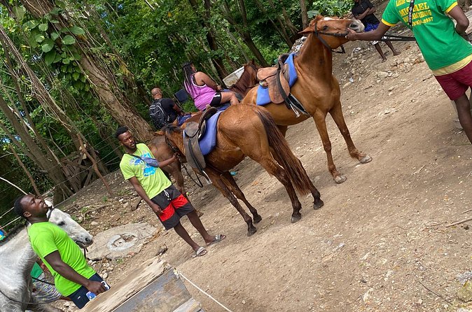 Private Horseback Riding with Blue Hole River Tour in Montego Bay - The two-hour road portion is part of the day