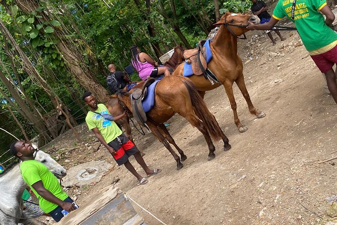 Private Horseback Riding with Blue Hole River Tour in Montego Bay - What the feedback tells you about service
