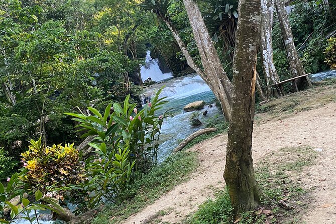 Private Horseback Riding with Blue Hole River Tour in Montego Bay - Timing, cancellation, and practical planning